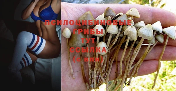 MDMA Рославль