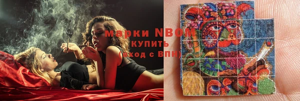 индика Покров